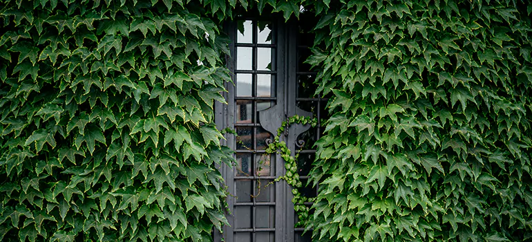 Garden Gate Repair in Fleming Island, FL