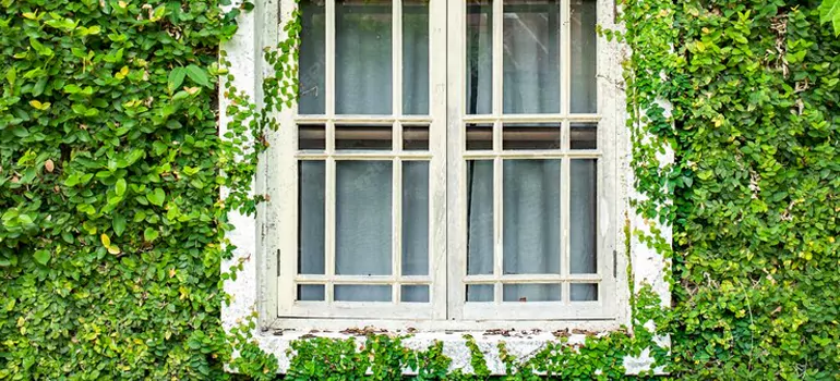 Garden Window Repair Near Me in Fleming Island, FL