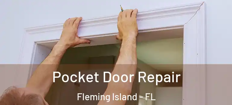  Pocket Door Repair Fleming Island - FL