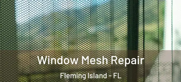  Window Mesh Repair Fleming Island - FL
