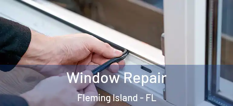  Window Repair Fleming Island - FL